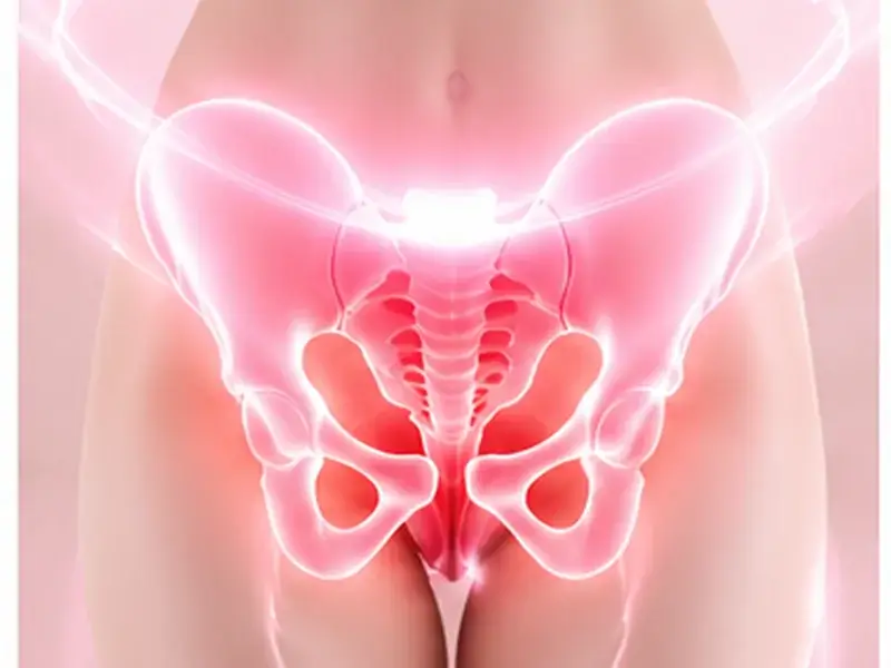 pelvic floor training